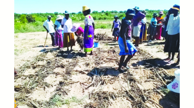 Farmers get training on hydrogel tech