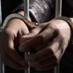The teenager was convicted of stealing five beasts from his elderly neighbours and selling them to unsuspecting buyers