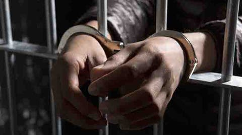The teenager was convicted of stealing five beasts from his elderly neighbours and selling them to unsuspecting buyers