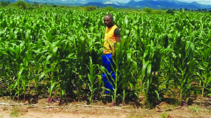 Masvingo on path to unrestrained growth