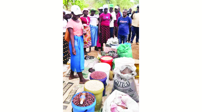 Women in Mbire defy dependency syndrome
