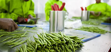 US$67,43 million project to transform rural agriculture