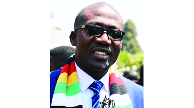 ‘Zim strives to minimise pollution’