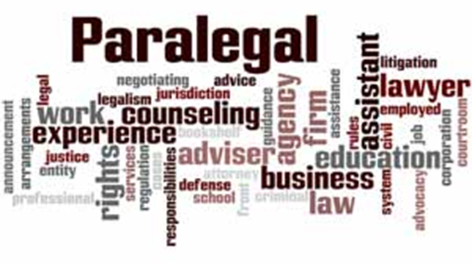 Village heroines: Insiza community paralegals pursue justice for rural folk
