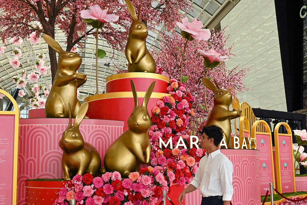 Chinese New Year: An international festival bringing us together