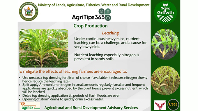 Agronomical tips