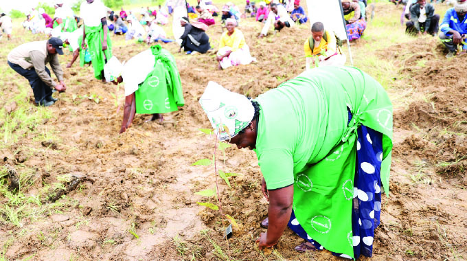 First Lady rallies communities towards afforestation