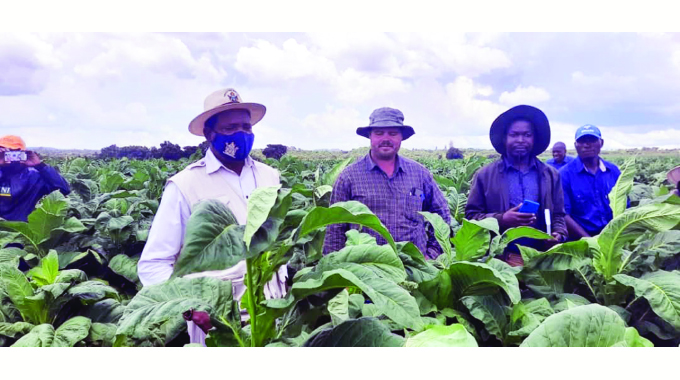 Plans to value add tobacco underway