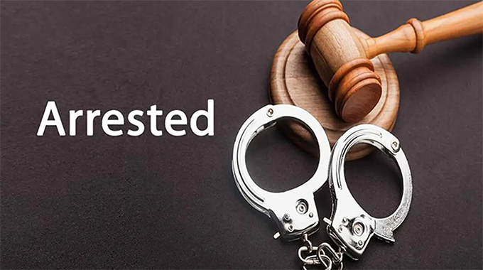 Two thieves arrested for breaking into 11 houses