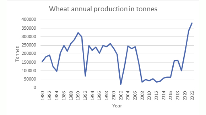 Wheat self-sufficiency: Govt initiatives anchor the renaissance