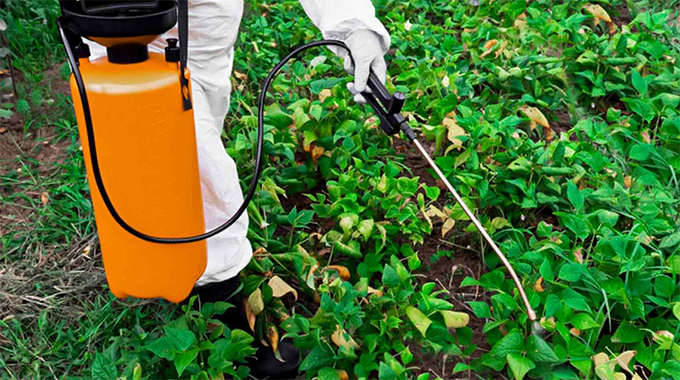 Over 543 000 farmers receive training on weed control