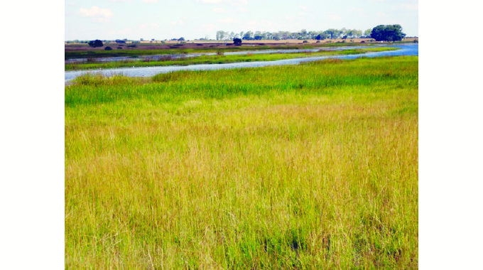 NEW: Government gazettes dozens of wetlands as protected areas