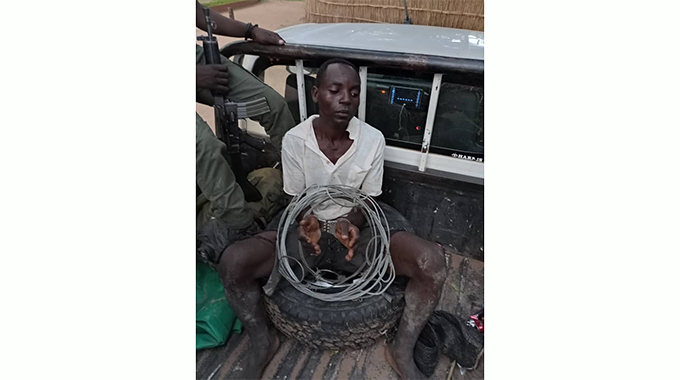 30 poachers arrested, 15 guns recovered in Kariba