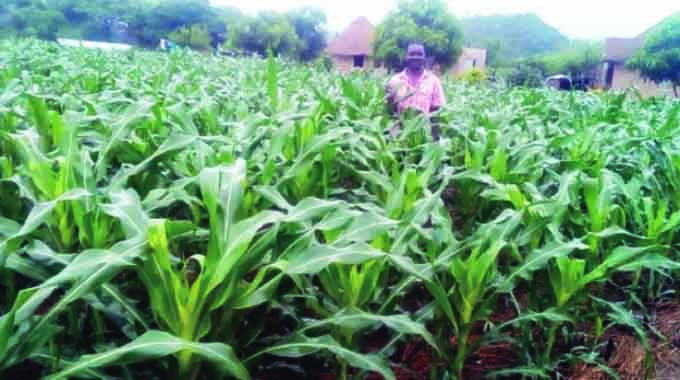 Meticulous planning hallmark of President Mnangagwa