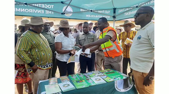 Muzarabani District makes strides in forest conservation