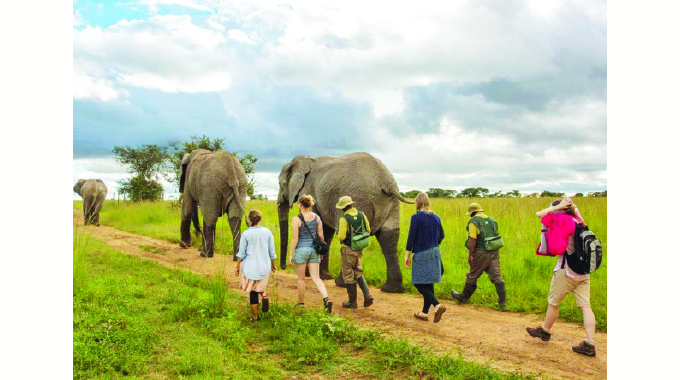 Human, wildlife conflict threatens natural resource management
