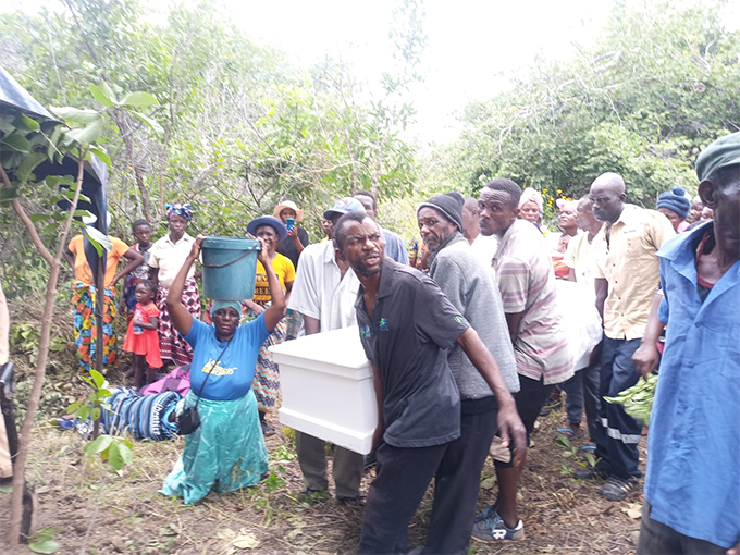 84-year-old Mt Darwin mother killed by sons, buried