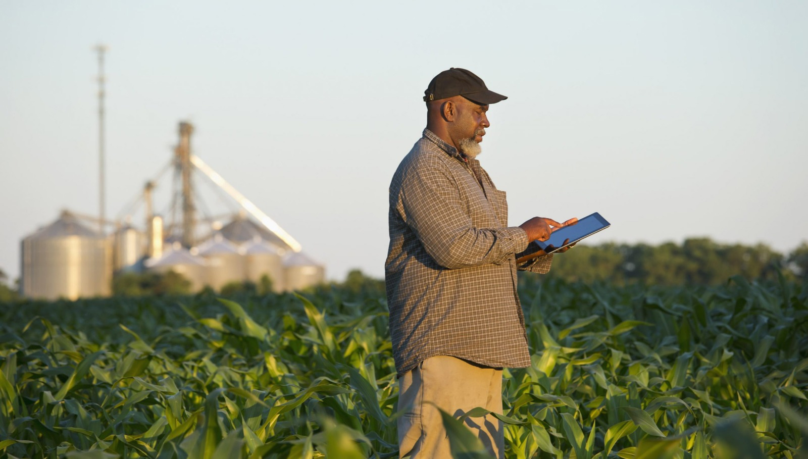 Crop innovations key to industrialisation and food systems transformations