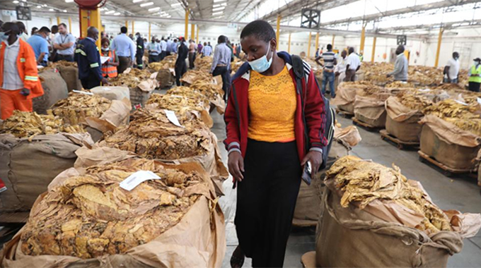 Farmers rush to floors as tobacco season nears end