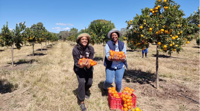 Women prove their mettle in farming