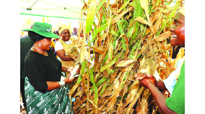 First Lady joins women in harvesting crops . . . as Agric4She pays dividends