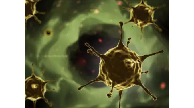 Zim on alert for Marbug virus