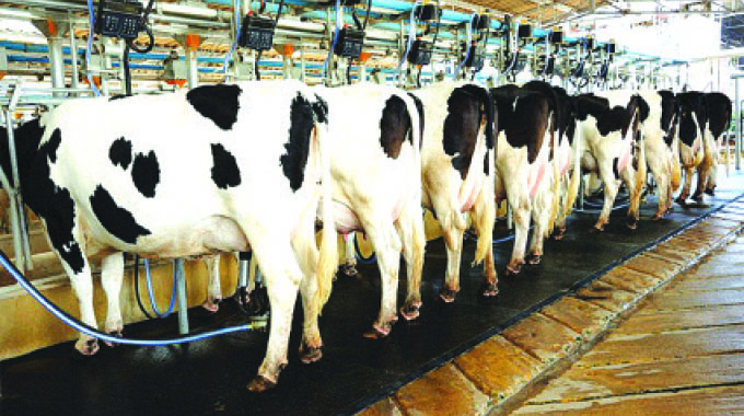 Milk production rises 21 percent