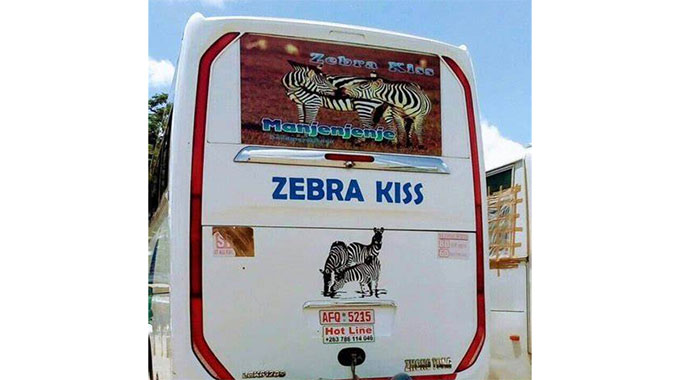 Two years in jail for Zebra Kiss driver