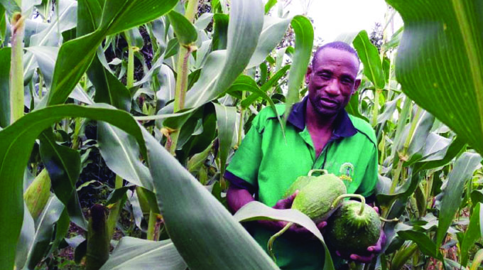 Forget the propaganda, Zimbabwe is rising!