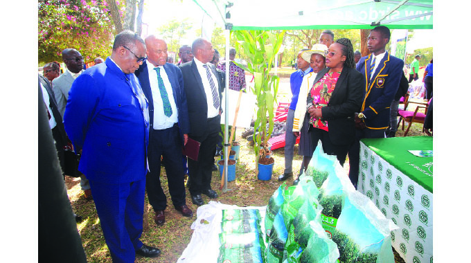 ‘Human capital a cog in driving national goals’