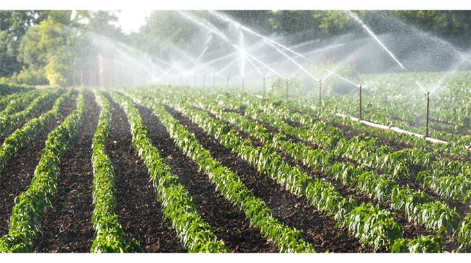 Irrigation joy for Hwendedzo villagers