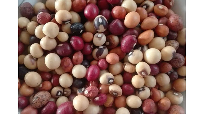 CTDT project improves farmers’ access to climate resilient crops