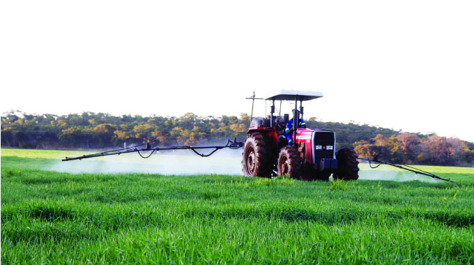 EDelivers: Second Republic delivers on wheat self-sufficiency