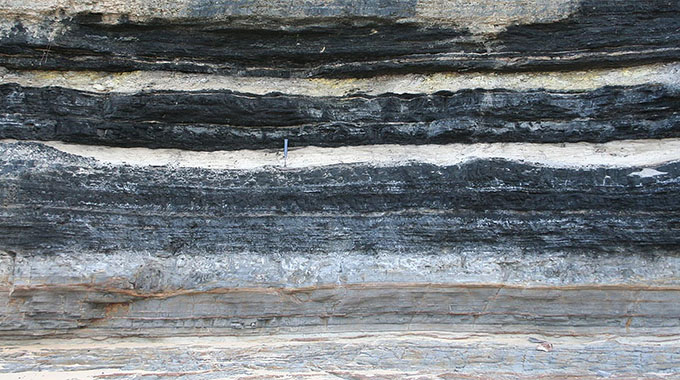 EDITORIAL COMMENT: Coal-bed methane needs to be pushed hard