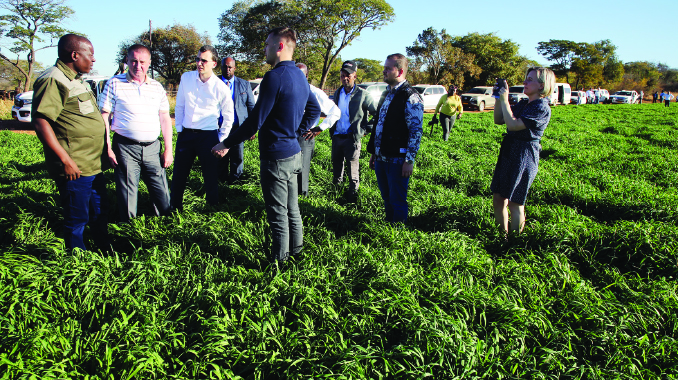 Belarusian team hails Dendairy operations