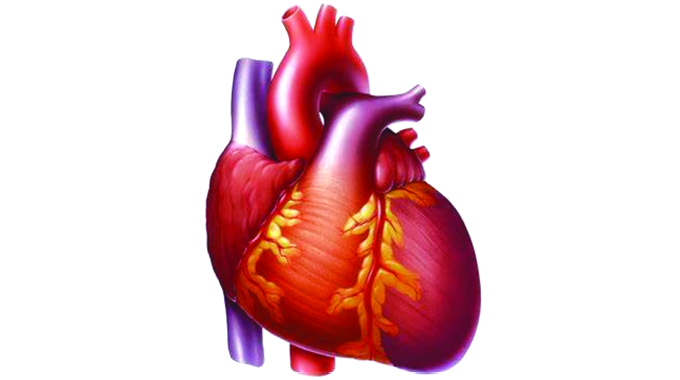 Big relief for heart disease patients