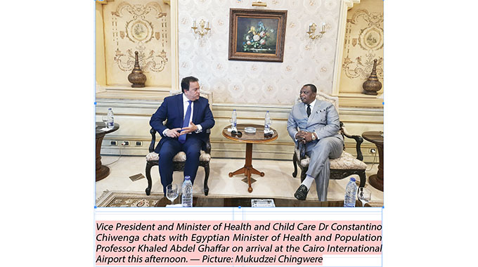 Zimbabwe, Egypt step up cooperation