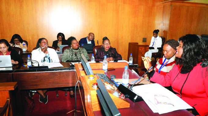 SA parly delegation in Zim