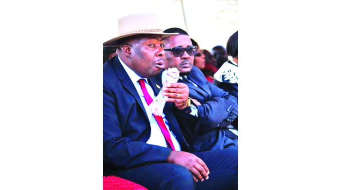 Kasukuwere carries excess baggage