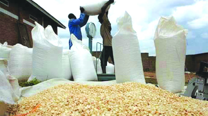 New maize auction slashes millers’ imports by 97pc
