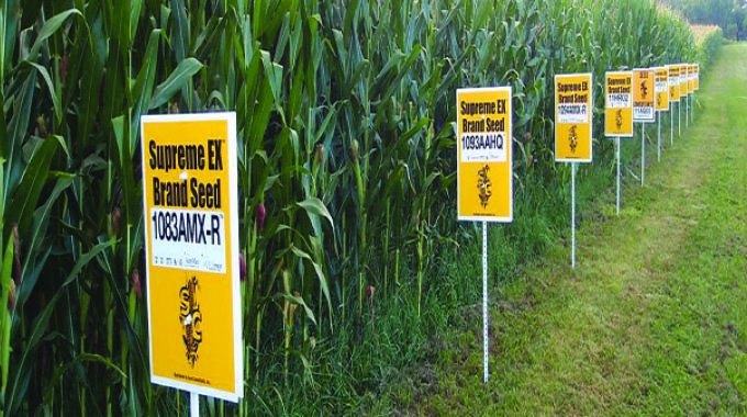 GMOs may be a solution to hunger