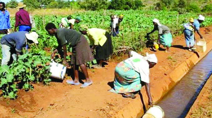 Small irrigation schemes enhance household food security