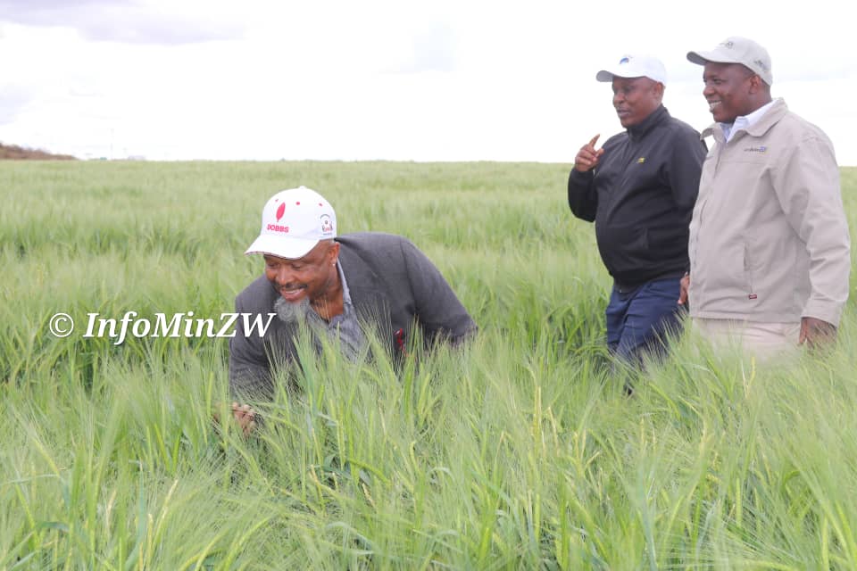 SADC journalists tour President’s Precabe Farm