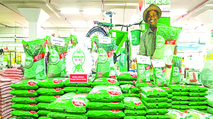 Seed Co banks on restructuring to offset exchange losses