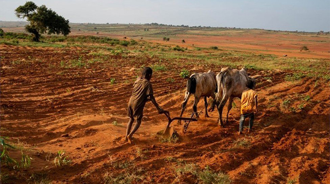 World on verge of severe climate-induced famines