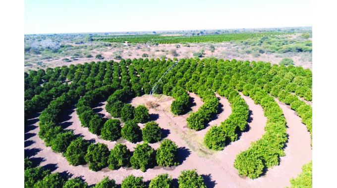 EDelivers: Citrus export earnings bloom with China protocol