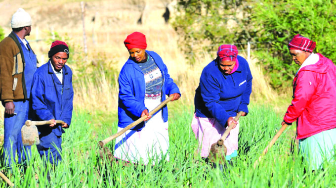 Closing Africa’s gender tech gap will boost agri-food systems