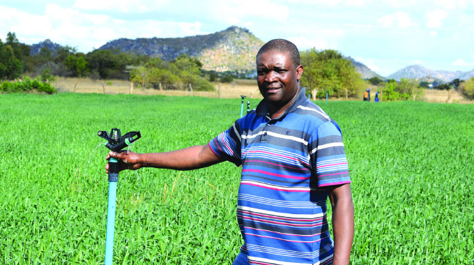 Wheat condition satisfactory countrywide