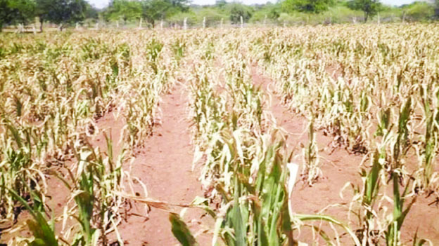 LOOKING BACK: Drought-hit areas will need aid