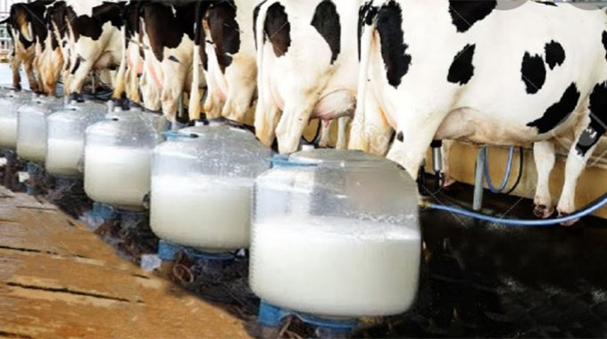 Milk production climbs 7 percent to 40 million litres